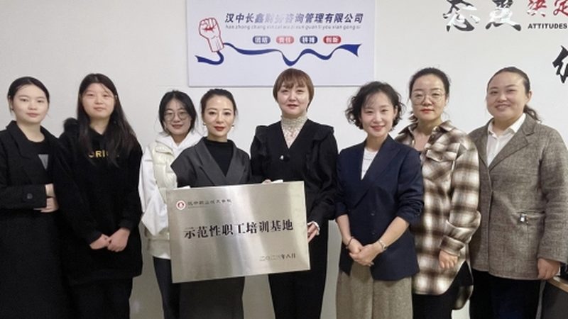 薪酬绩效咨询：分类与适用场景解析**