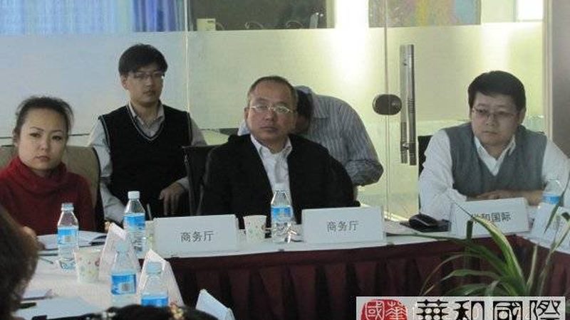 薪酬绩效咨询流程规范：解码企业绩效提升之道**